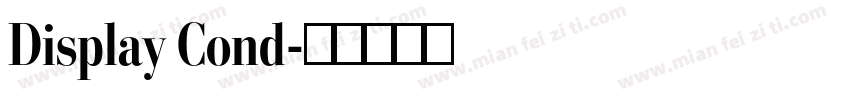 Display Cond字体转换